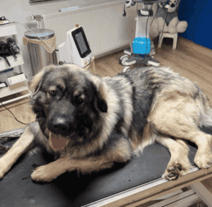 Capture d’écran 2025-05-14 à 16.32.03