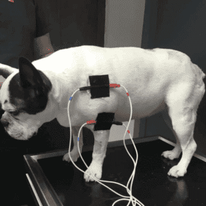 Capture d’écran 2025-05-14 à 16.32.53