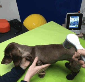 Capture d’écran 2025-05-14 à 16.33.06