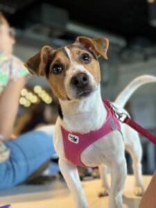 att.ys5cCSu2mrBn83BuE4wuW6hOx7gKDfE-dmEG-VTlJME