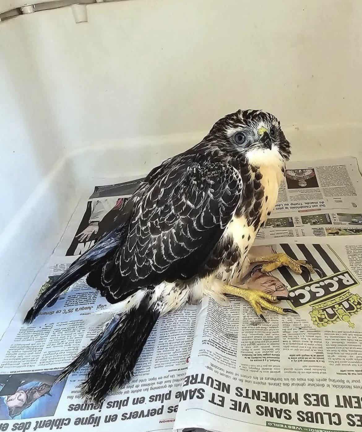 SAUVETAGE D’UNE BUSE VARIABLE